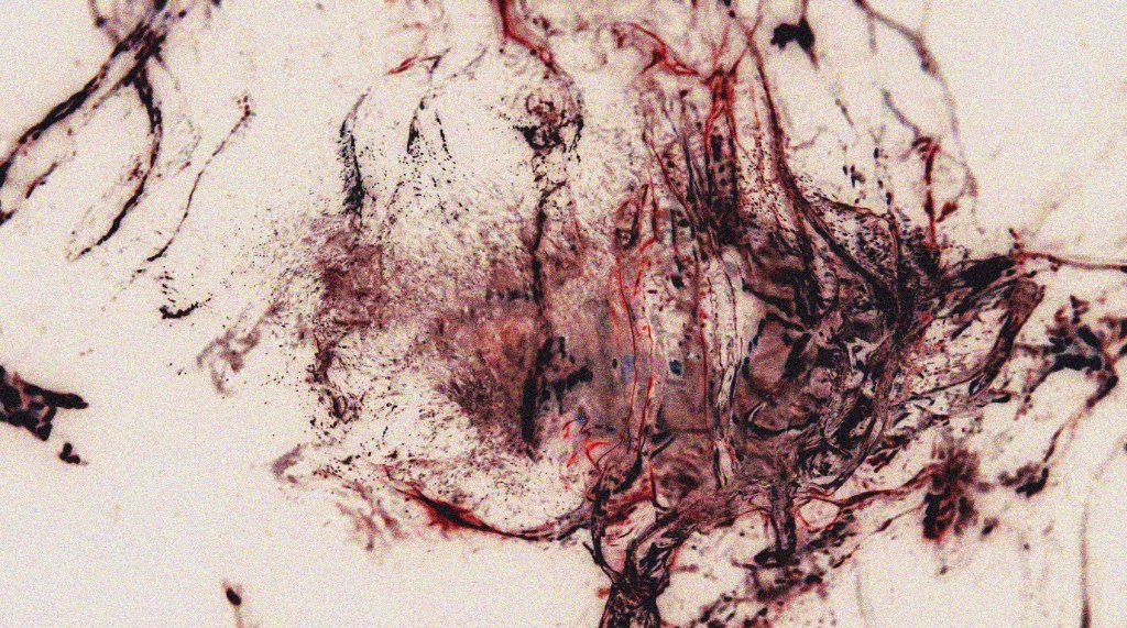 Abstract Illustrations